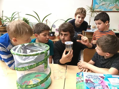 V přírodovědném semináři jsme s úžasem sledovali dokonalou proměnu babočky bodlákové (Vanessa cardui).