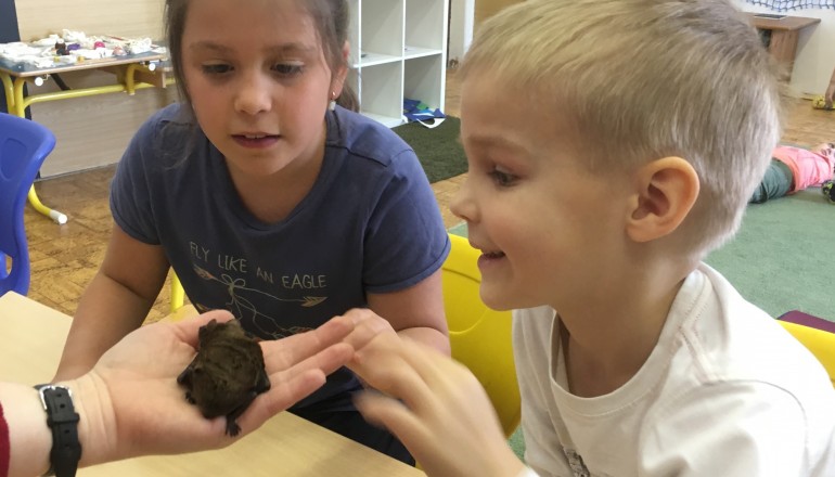 Povídání o netopýrech