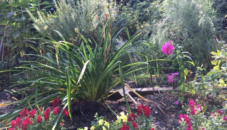 Podzimní školní zahrada