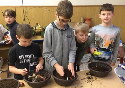 Květy rychlených jarních cibulovin provoněly celou školu již v lednu!