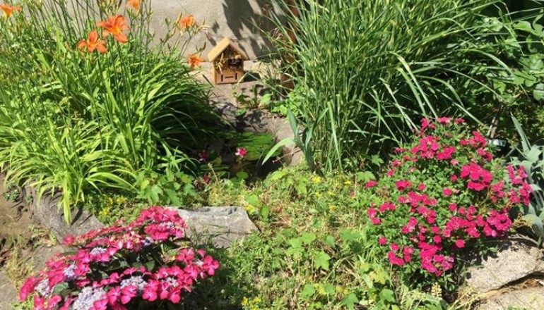 Červen v zahradě školy Cesta k úspěchu