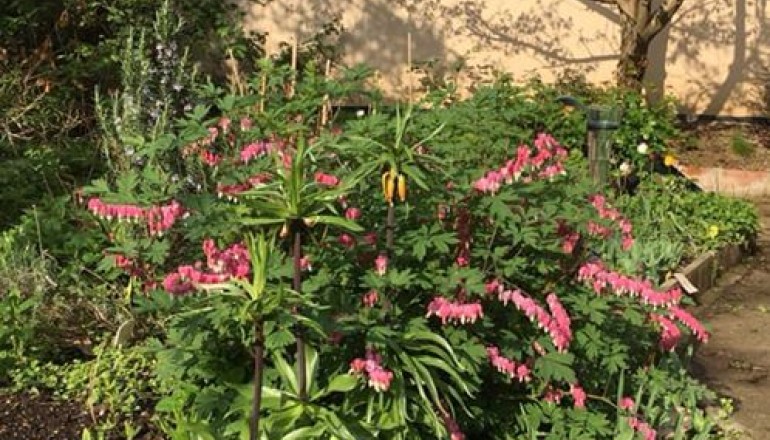 S napětím sledujeme krmení, vývoj a růst mladých sýkor v naší přírodovědné zahradě.